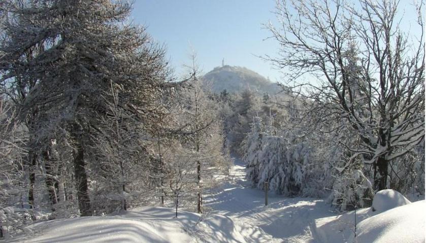 Květinové apartmány u Jordů Marenice Esterno foto